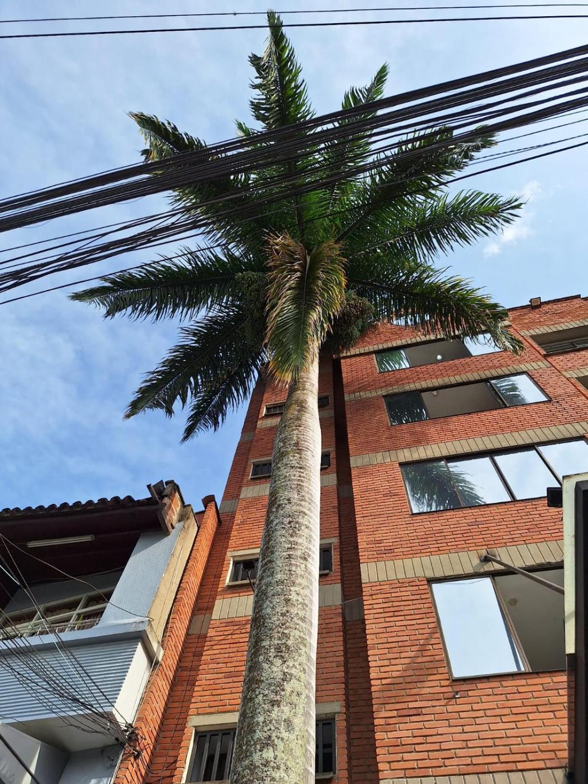 Hotel Suramericana Medellin Bagian luar foto